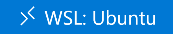 WSL Remote